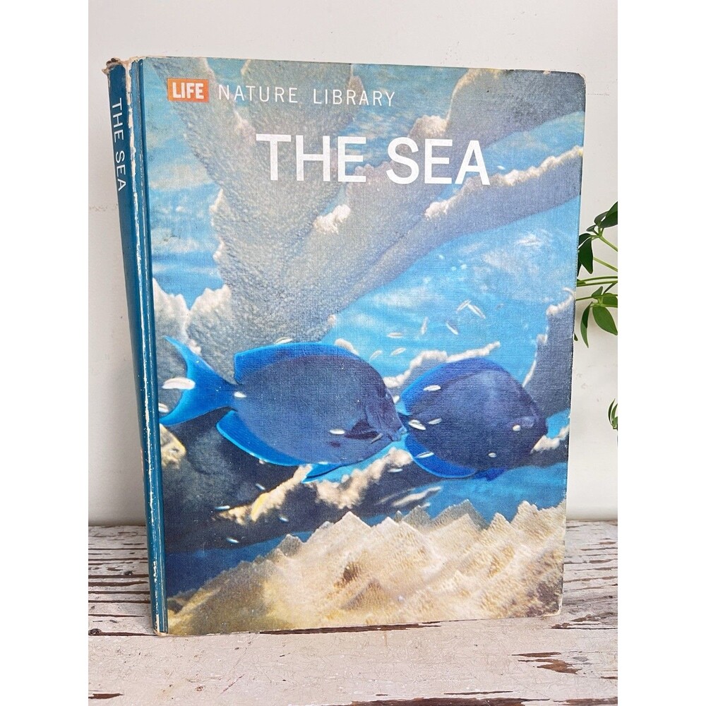 Vintage 1961 Nautical Hardcover Book By LIFE Library “THE SEA” / Coastal Beach